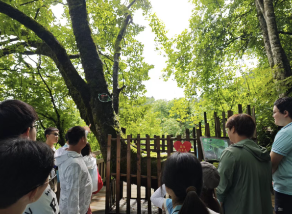 截屏2024-08-16 16.06.29